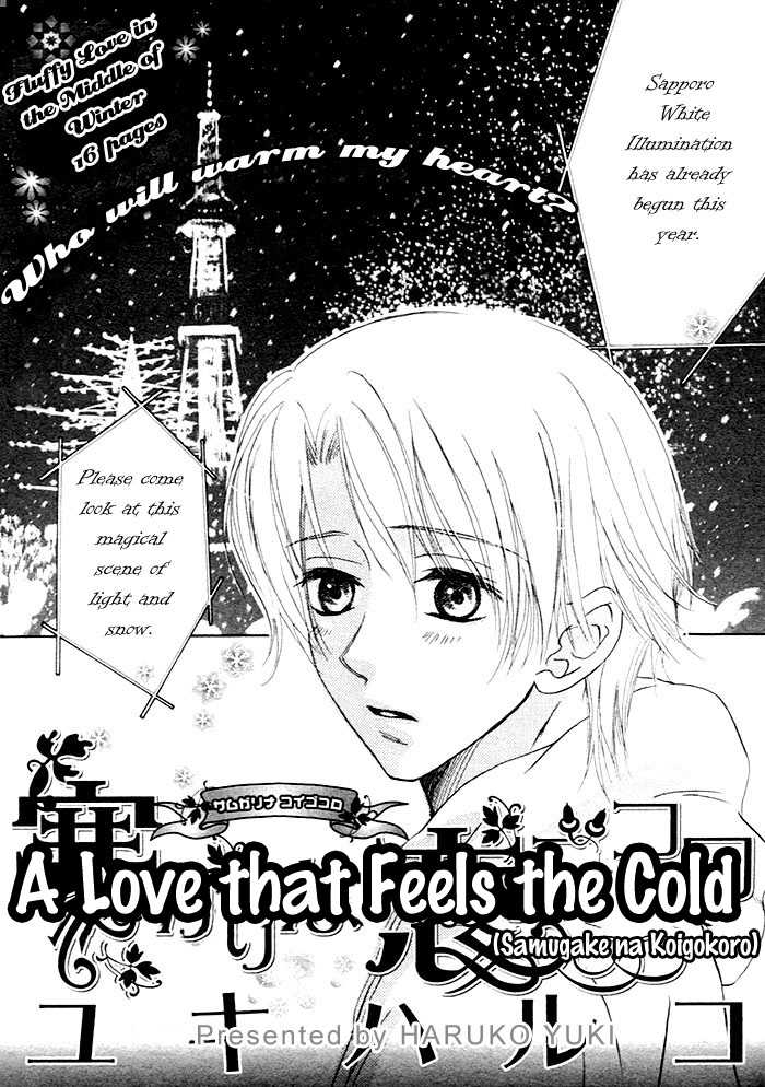 A Love That Feels The Cold Chapter 1 Page 1