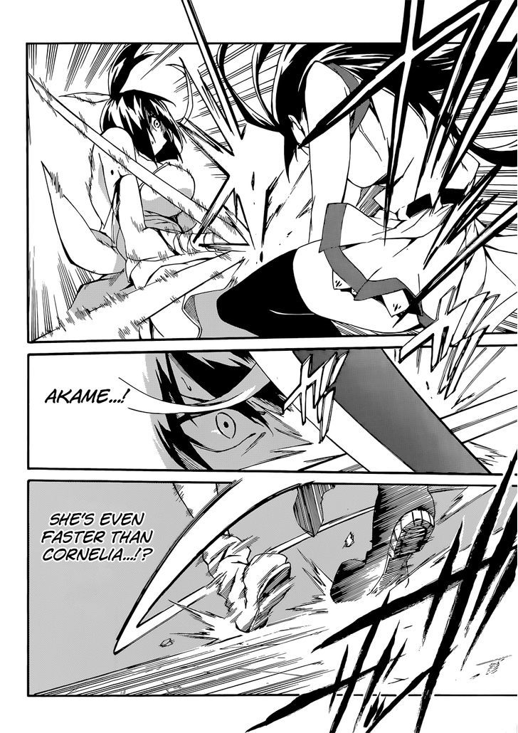 Akame Ga Kiru Zero Chapter 12 Page 14