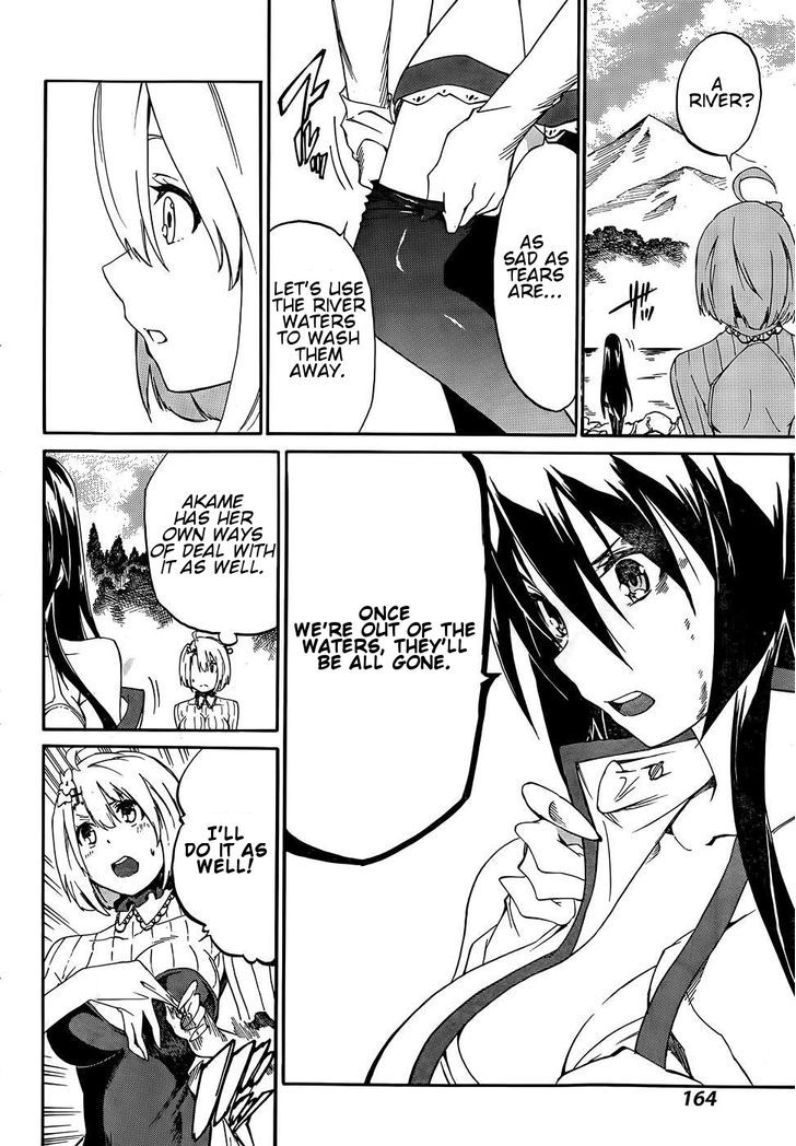 Akame Ga Kiru Zero Chapter 14 Page 14