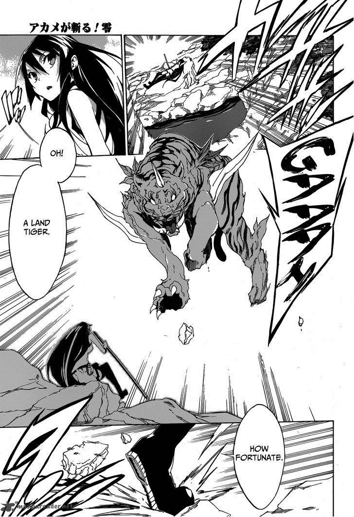 Akame Ga Kiru Zero Chapter 2 Page 16