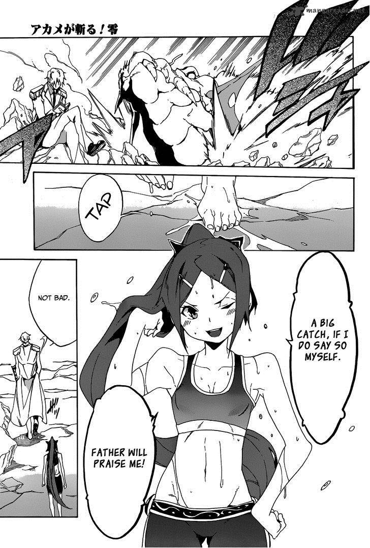 Akame Ga Kiru Zero Chapter 2 Page 20