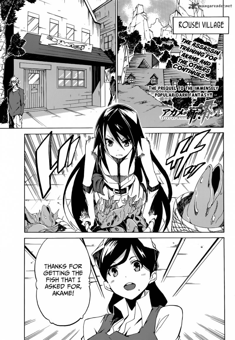 Akame Ga Kiru Zero Chapter 3 Page 2