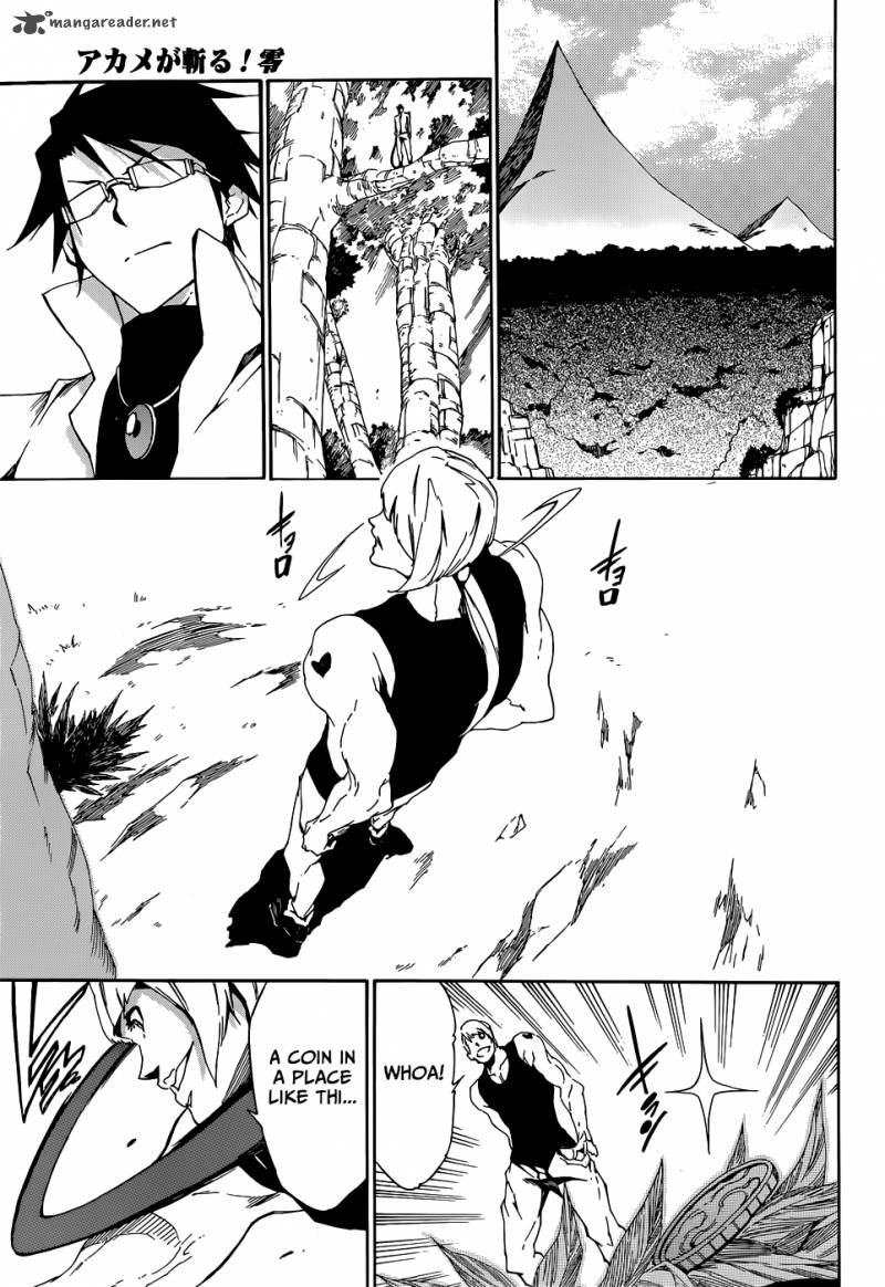 Akame Ga Kiru Zero Chapter 3 Page 20