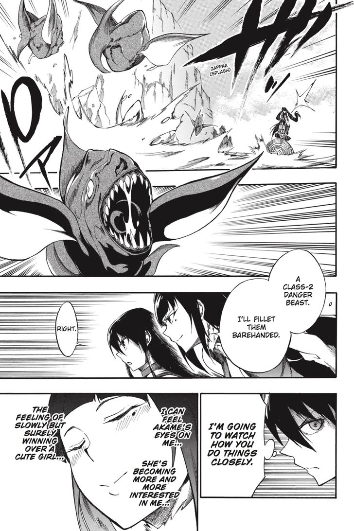 Akame Ga Kiru Zero Chapter 38 Page 13