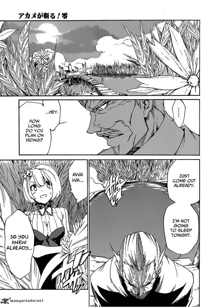 Akame Ga Kiru Zero Chapter 4 Page 10