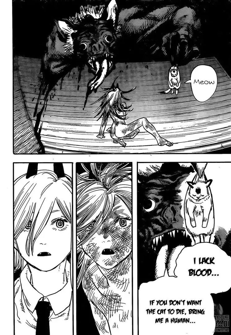 Chainsaw читать. Chainsaw man Cat.