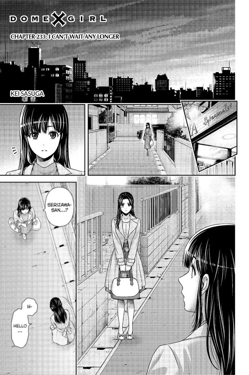 Read Domestic Na Kanojo Chapter 254: The Final Dedication on