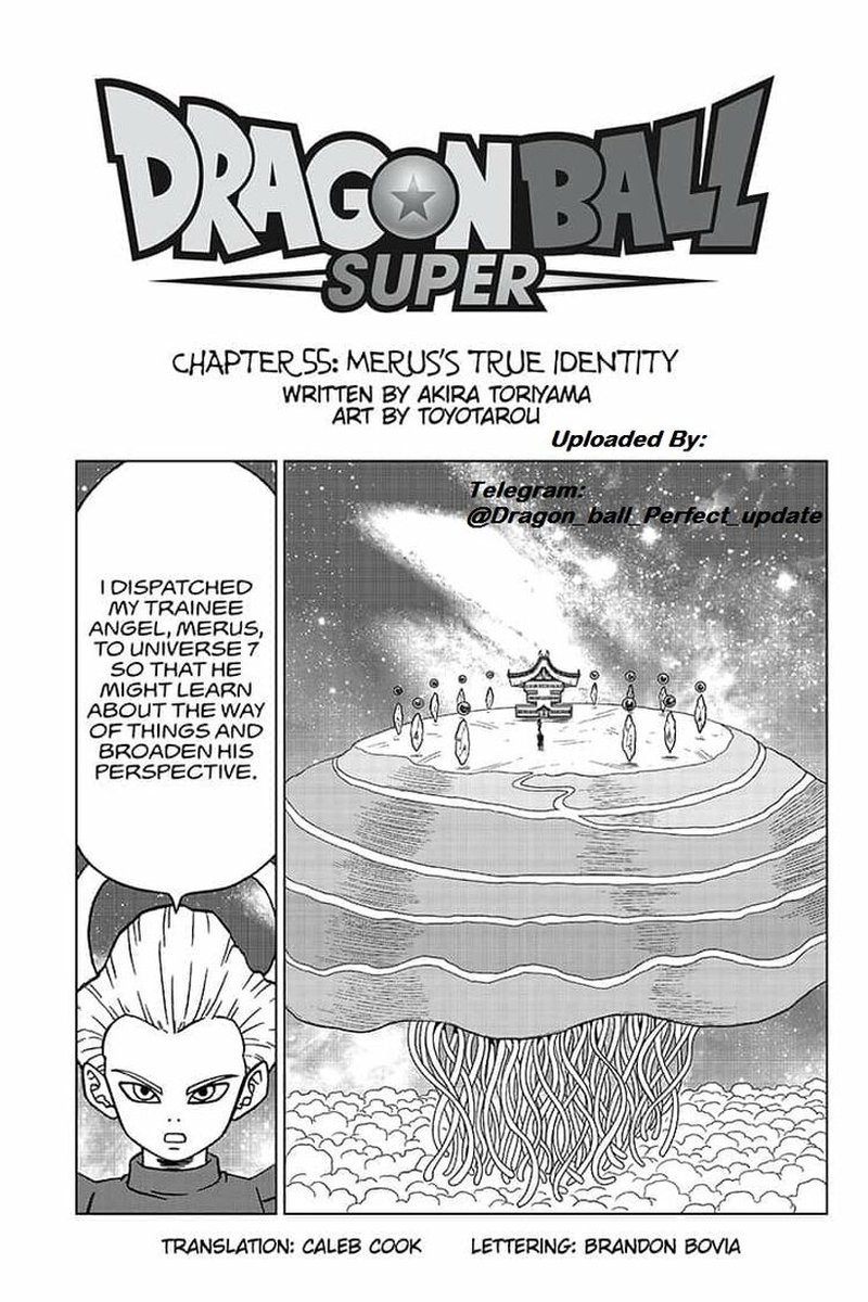 Dragon Ball Super Chapter 55 Page 1