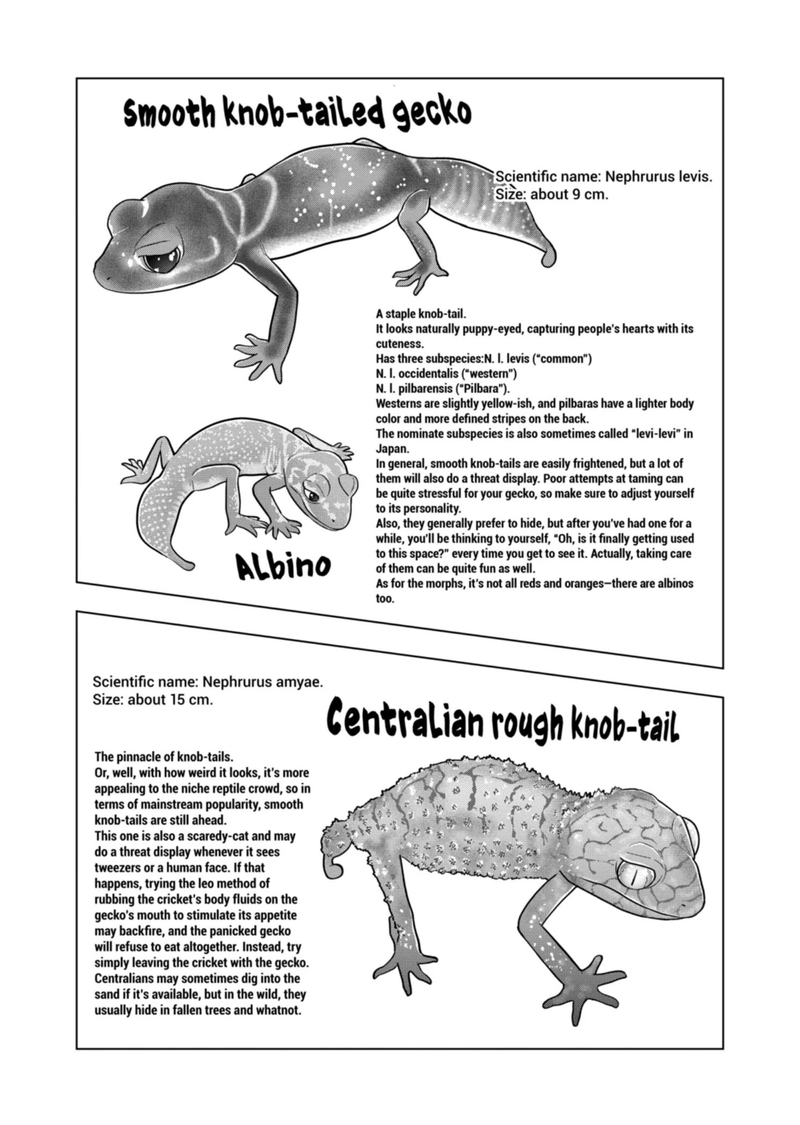 Himitsu No Reptiles Chapter 116 Page 14