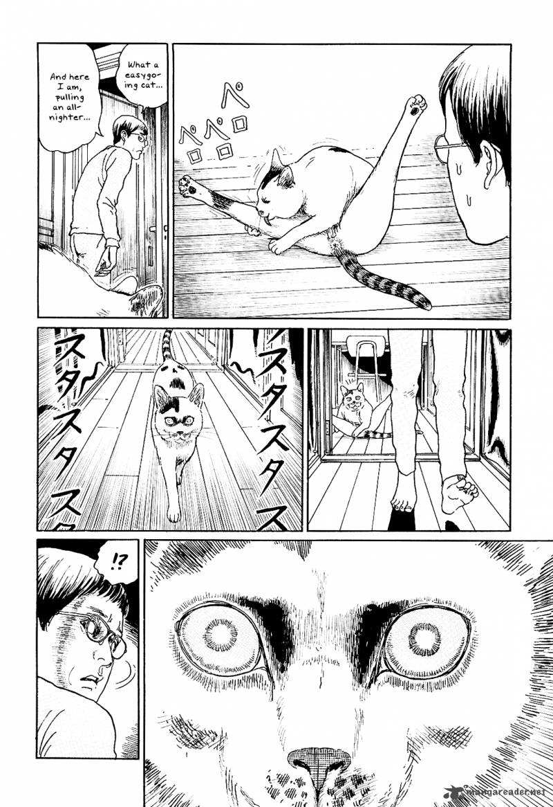Read Ito Junjis Cat Diary Chapter 5 Mangafreak