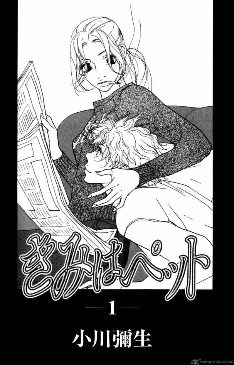 Kimi Wa Petto  Manga art, Anime, Shoujo manga