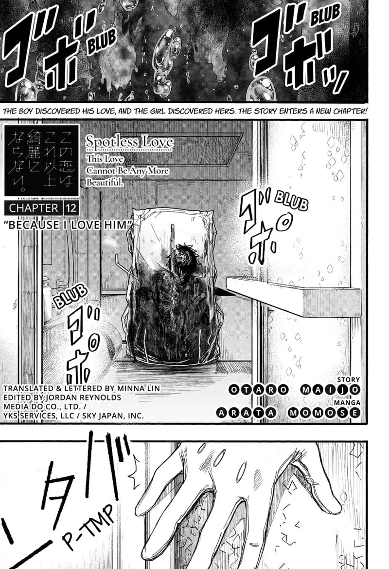 Kono Koi Wa Kore Ijou Kirei Ni Naranai Chapter 12 Page 1
