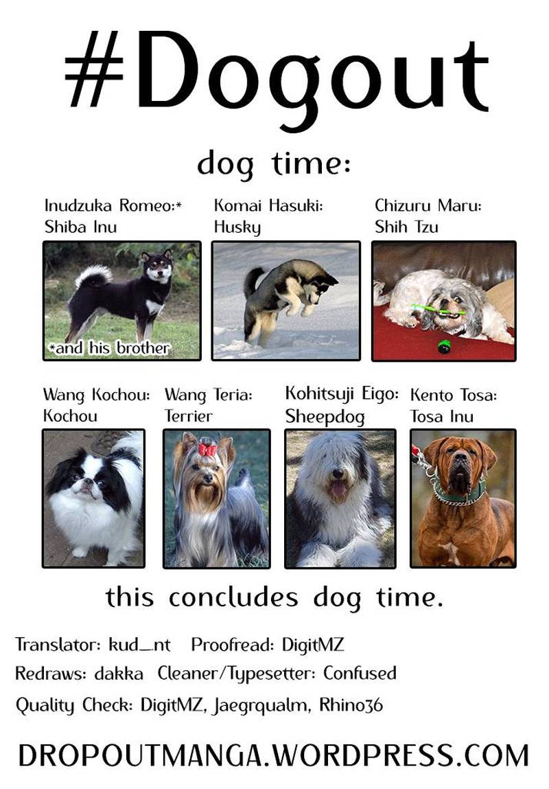 Dog time. Dog time