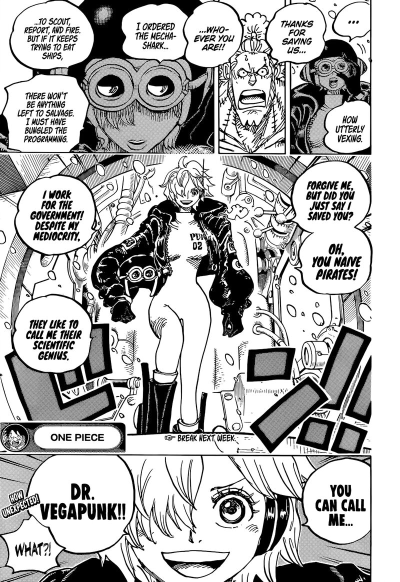 One Piece Chapter 1061 Page 13
