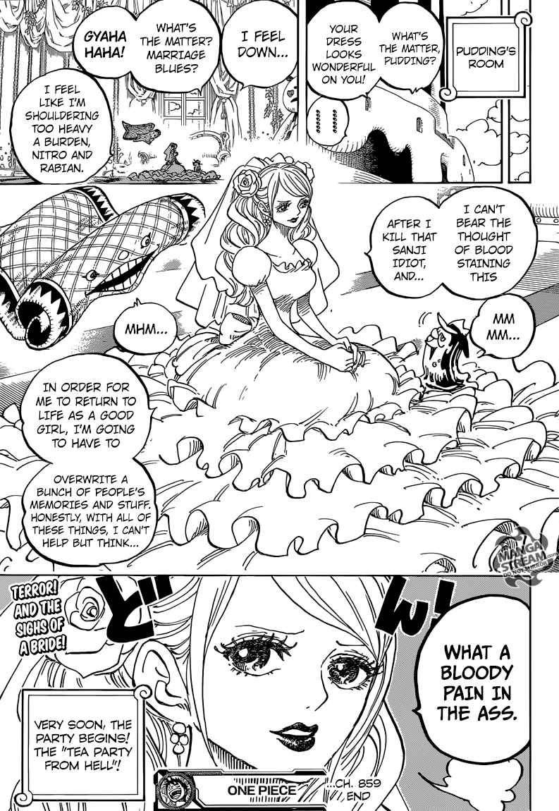 One Piece Chapter 859 Page 16