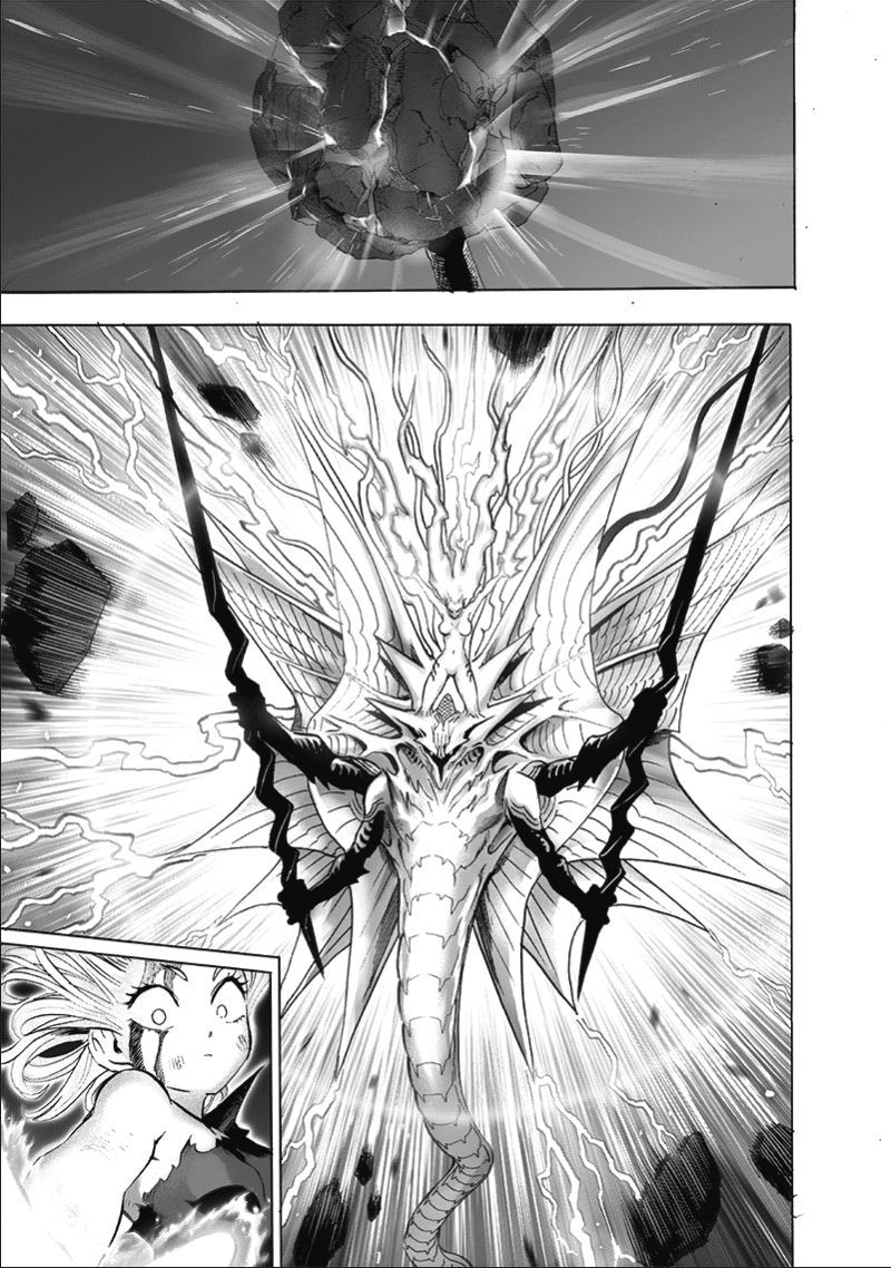 Onepunch Man Chapter 133 Page 11