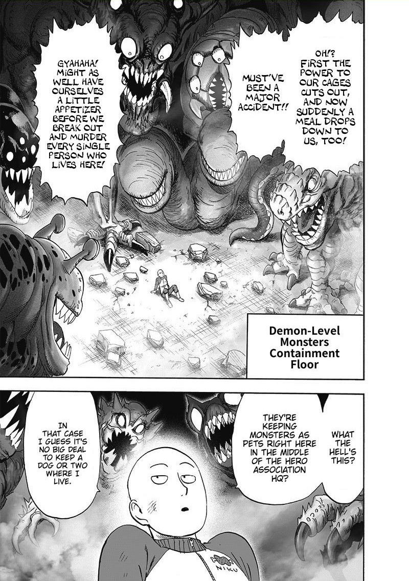 Onepunch Man Chapter 176 Page 26