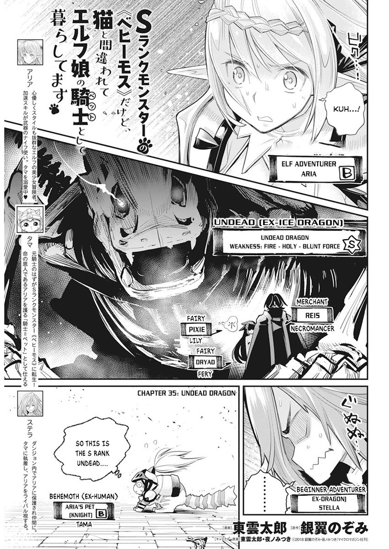 Read S Rank Monster No Behemoth Dakedo Neko To Machigawarete Erufu Musume No Kishi Pet Toshite